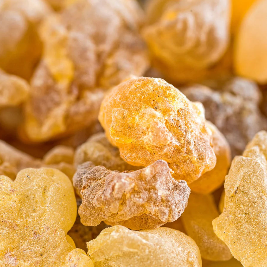 Close-up of raw organic frankincense resin, rich in boswellic acids and traditionally used in Lebanon and the Middle East for healing and skin renewal